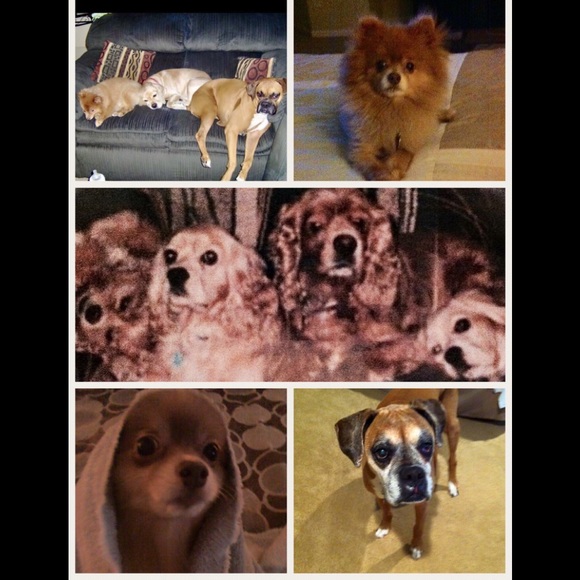 Meet your Posher, Stacy - Picture 5 of 6